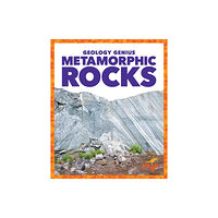 Jump! Incorporated Metamorphic Rocks (inbunden, eng)