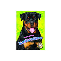 Bellwether Media Rottweilers (inbunden, eng)