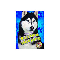 Bellwether Media Siberian Huskies (inbunden, eng)