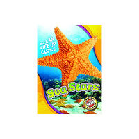 Bellwether Media Sea Stars (inbunden, eng)