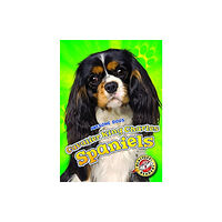 Bellwether Media Cavalier King Charles Spaniels (inbunden, eng)