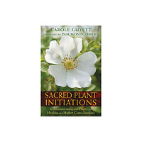 Inner Traditions Bear and Company Sacred Plant Initiations (häftad, eng)