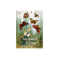 Batsford Ltd An Insect A Day (inbunden, eng)