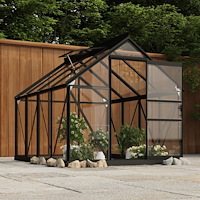 vidaXL Växthusram antracit 155x103x191 cm aluminium