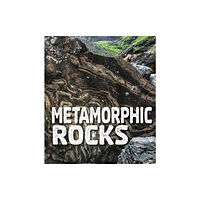 Capstone Global Library Ltd Metamorphic Rocks (häftad)