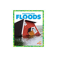 Pogo Books Floods (inbunden, eng)