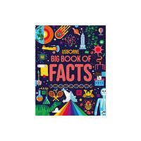 Usborne Publishing Ltd Big Book of Facts (inbunden, eng)