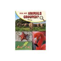 Capstone Global Library Ltd How Are Animals Grouped? (inbunden, eng)