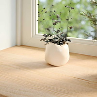 vidaXL Fönsterbänkar 2 st obehandlad 120x30x2 cm massiv ek