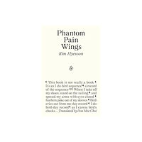 And Other Stories Phantom Pain Wings (häftad, eng)