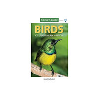Penguin Random House South Africa Pocket Guide Birds of Southern Africa (häftad, eng)