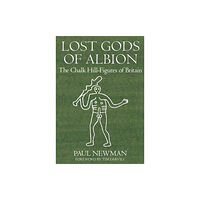 The History Press Ltd Lost Gods of Albion (häftad, eng)