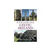 The History Press Ltd Exploring Celtic Ireland (häftad, eng)