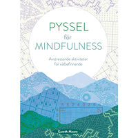 Gareth Moore Pyssel för mindfulness (häftad)