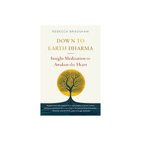 Shambhala Publications Inc Down to Earth Dharma (häftad, eng)