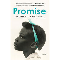 Rachel Eliza Griffiths Promise: A Novel (häftad, eng)