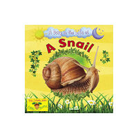 Ruby Tuesday Books Ltd A Snail (häftad, eng)