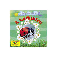 Ruby Tuesday Books Ltd A Ladybird (häftad, eng)