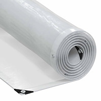 vidaXL Klar presenning med öljetter 2x12 m polyeten