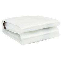 vidaXL Klar presenning med öljetter 5x12 m polyeten