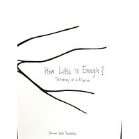Steinunn Knúts-Önnudóttir How little is enough? Testimony of a Pilgrim (bok, danskt band, eng)