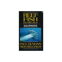 New World Publications Inc.,U.S. Reef Fish Identification (häftad, eng)