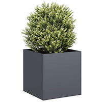 vidaXL Odlingslåda antracit 40x40x40 cm kallvalsat stål