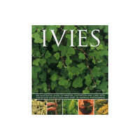 Anness publishing Ivies (häftad, eng)