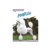 North Star Editions Poodles (häftad, eng)