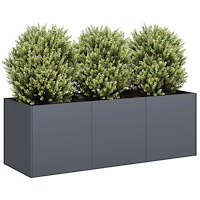 vidaXL Odlingslåda antracit 120x40x40 cm kallvalsat stål