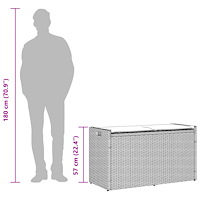 vidaXL Förvaringsbänk för utomhusbruk med dyna grå 100 cm konstrotting