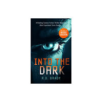 Vinci Books Into the Dark (häftad, eng)