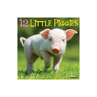 Willow Creek Press Calendars 12 Little Piggies 2025 12 X 12 Wall Calendar