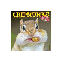 Willow Creek Press Calendars Chipmunks (Gone Nuts!) 2025 12 X 12 Wall Calendar