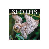 Willow Creek Press Calendars Sloths 2025 12 X 12 Wall Calendar