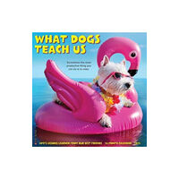 Willow Creek Press Calendars What Dogs Teach Us 2025 12 X 12 Wall Calendar