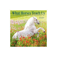 Willow Creek Press Calendars What Horses Teach Us 2025 7 X 7 Mini Wall Calendar