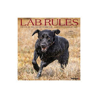 Willow Creek Press Calendars Lab Rules 2025 12 X 12 Wall Calendar