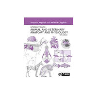 CABI Publishing Introduction to Animal and Veterinary Anatomy and Physiology (häftad, eng)