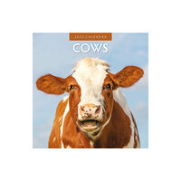 Red Robin Publishing Ltd. Cows 2025 Square Wall Calendar (häftad, eng)