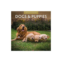 Red Robin Publishing Ltd. Dogs & Puppies 2025 Square Wall Calendar (häftad, eng)