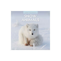 Red Robin Publishing Ltd. Snow Animals 2025 Square Wall Calendar (häftad, eng)