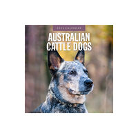 Red Robin Publishing Ltd. Australian Cattle Dogs 2025 Square Wall Calendar (häftad, eng)