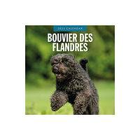 Red Robin Publishing Ltd. Bouvier des Flandres 2025 Square Wall Calendar (häftad, eng)