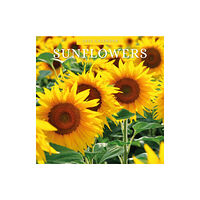 Red Robin Publishing Ltd. Sunflowers 2025 Square Wall Calendar (häftad, eng)