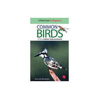 Rupa Publications India Pvt. Ltd Common Birds of the Indian Subcontinent (häftad, eng)