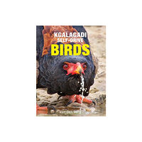 HPH Publishing Kgalagadi Self-Drive Birds (häftad, eng)