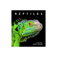 New Holland Publishers Reptiles (inbunden, eng)