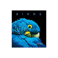 New Holland Publishers Birds (inbunden, eng)