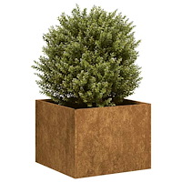 vidaXL Planteringskärl rostig 40x40x30 cm väderbeständigt stål